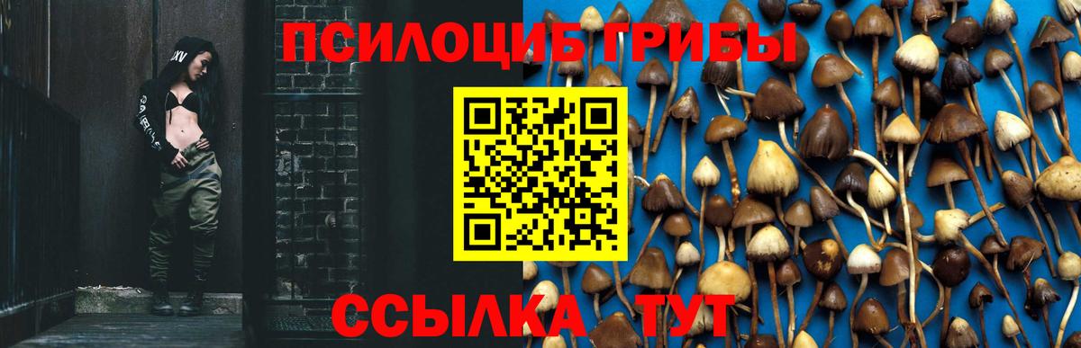Галлюциногенные грибы мухоморы Георгиевск