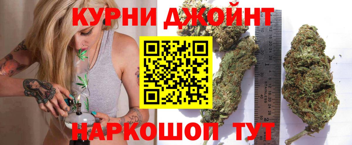 Конопля OG Kush Георгиевск